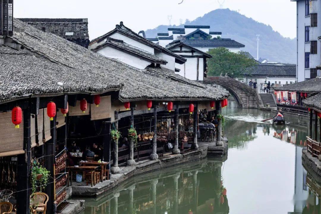 森林的奇迹